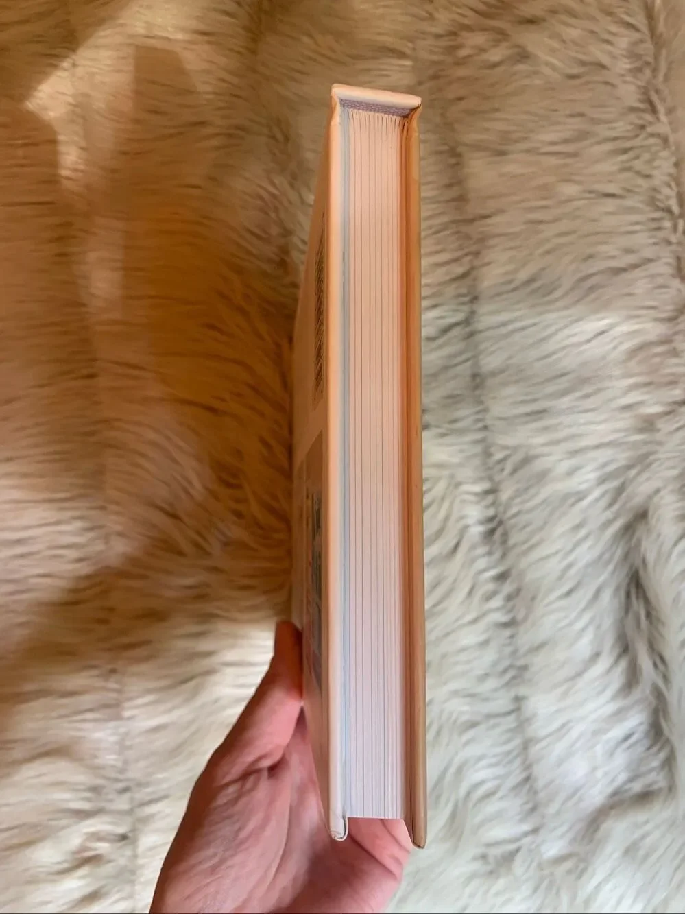 The Home Edit Stay Organized Book New